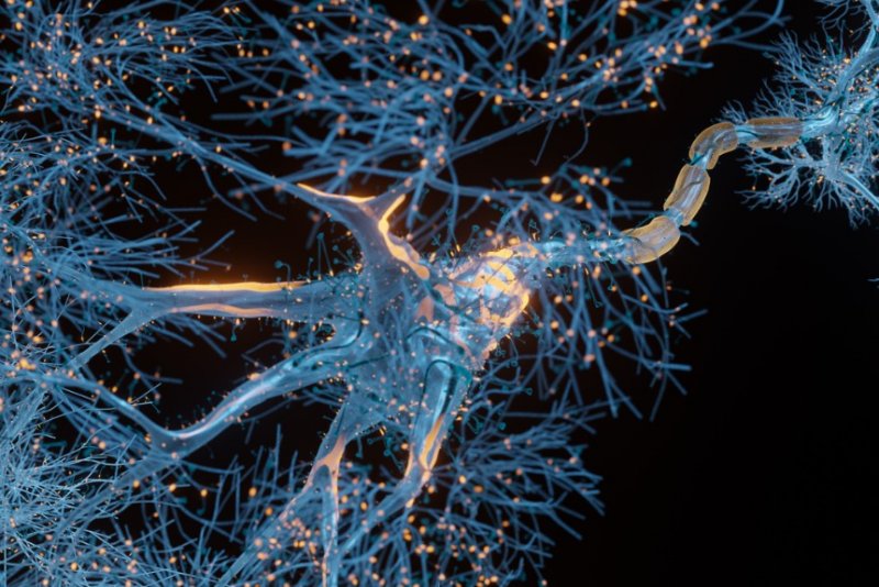 Neurodegenerative disease can progress in newly identified patterns