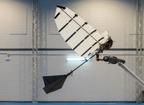 New winged robot can land like a bird