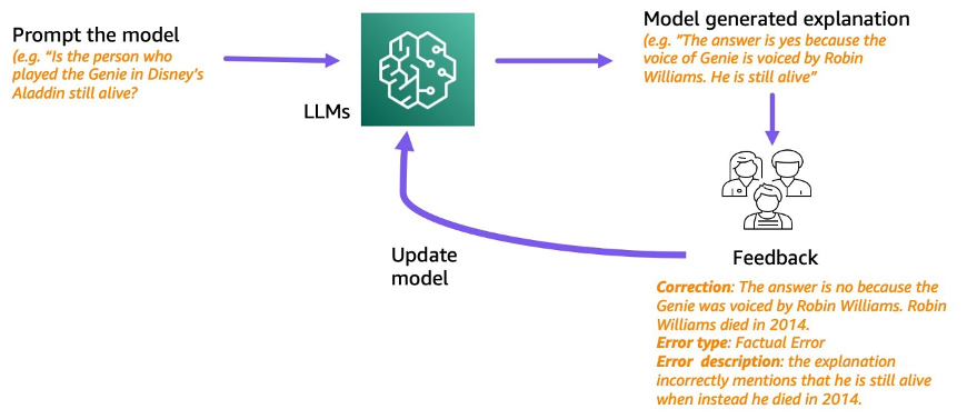 Improve multi-hop reasoning in LLMs by learning from rich human feedback