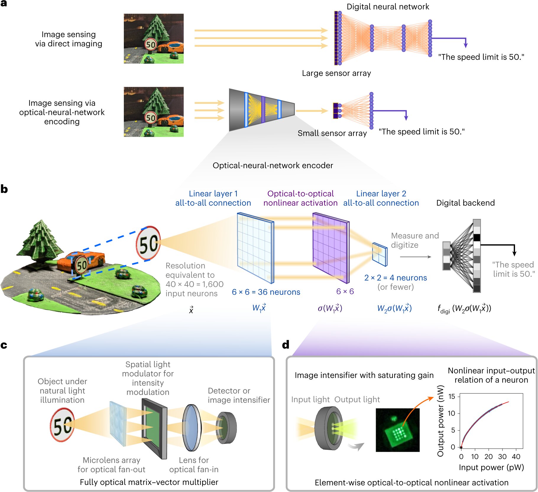 Optical neural networks hold promise for image processing