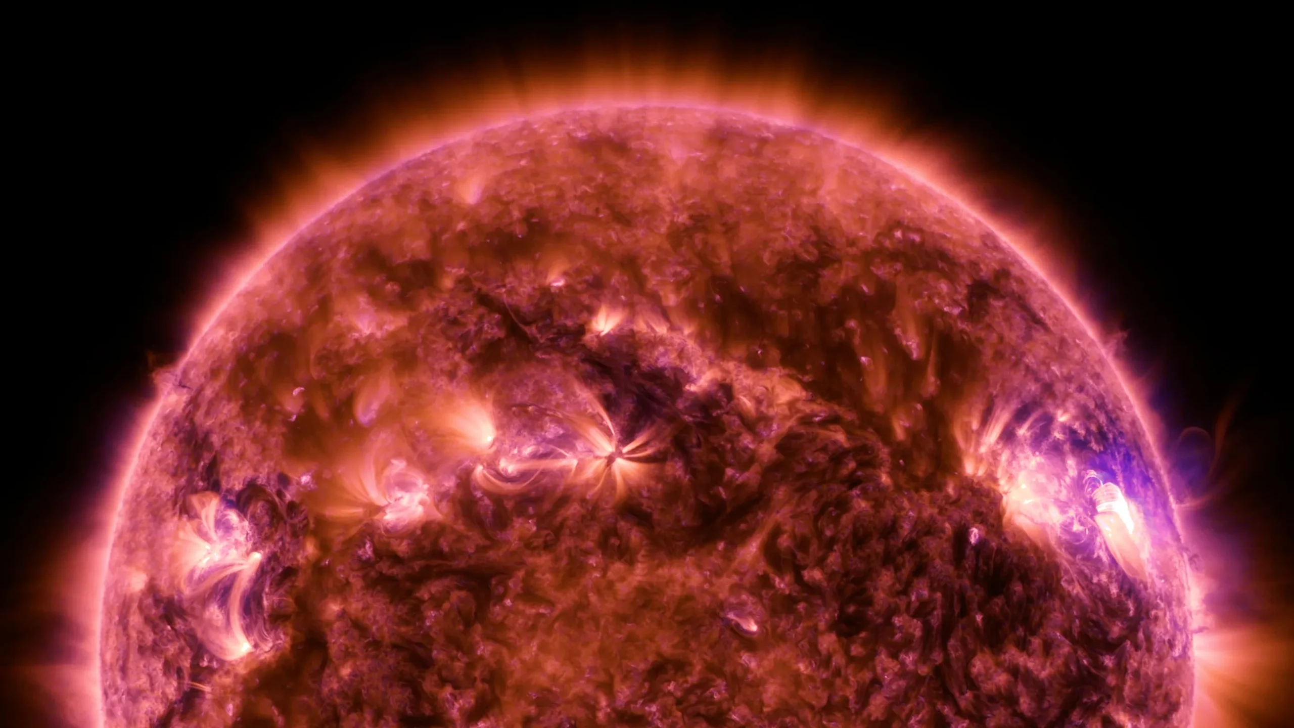 Tiny Jets on the Sun Power the Colossal Solar Wind