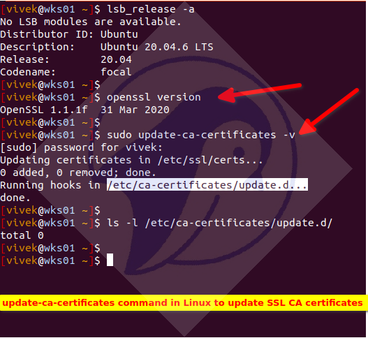 Ubuntu 6105-1: ca-certificates update