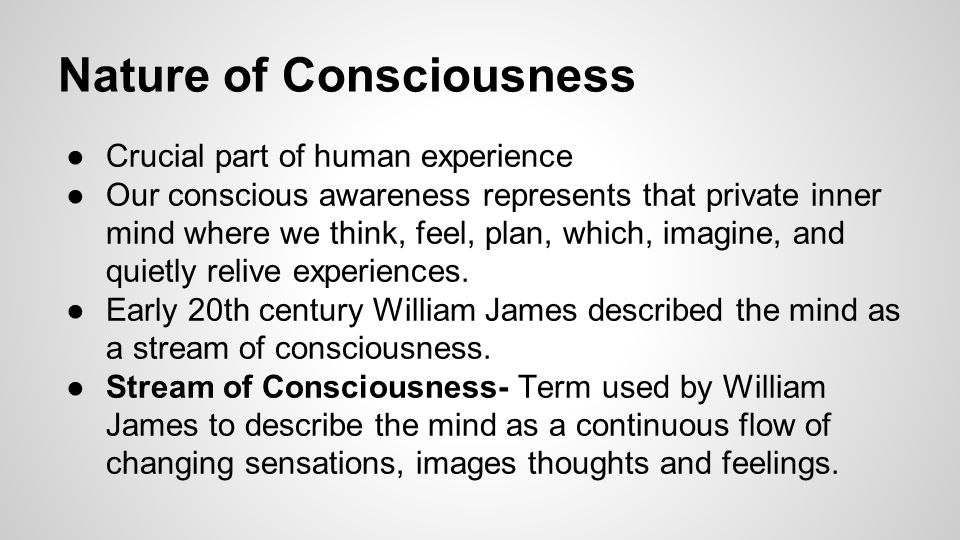 What Is the Nature of Consciousness?