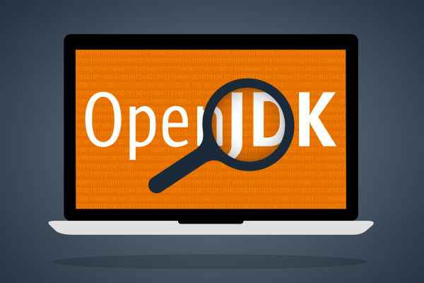 OpenJDK DoS, Info Disclosure Vulns Fixed