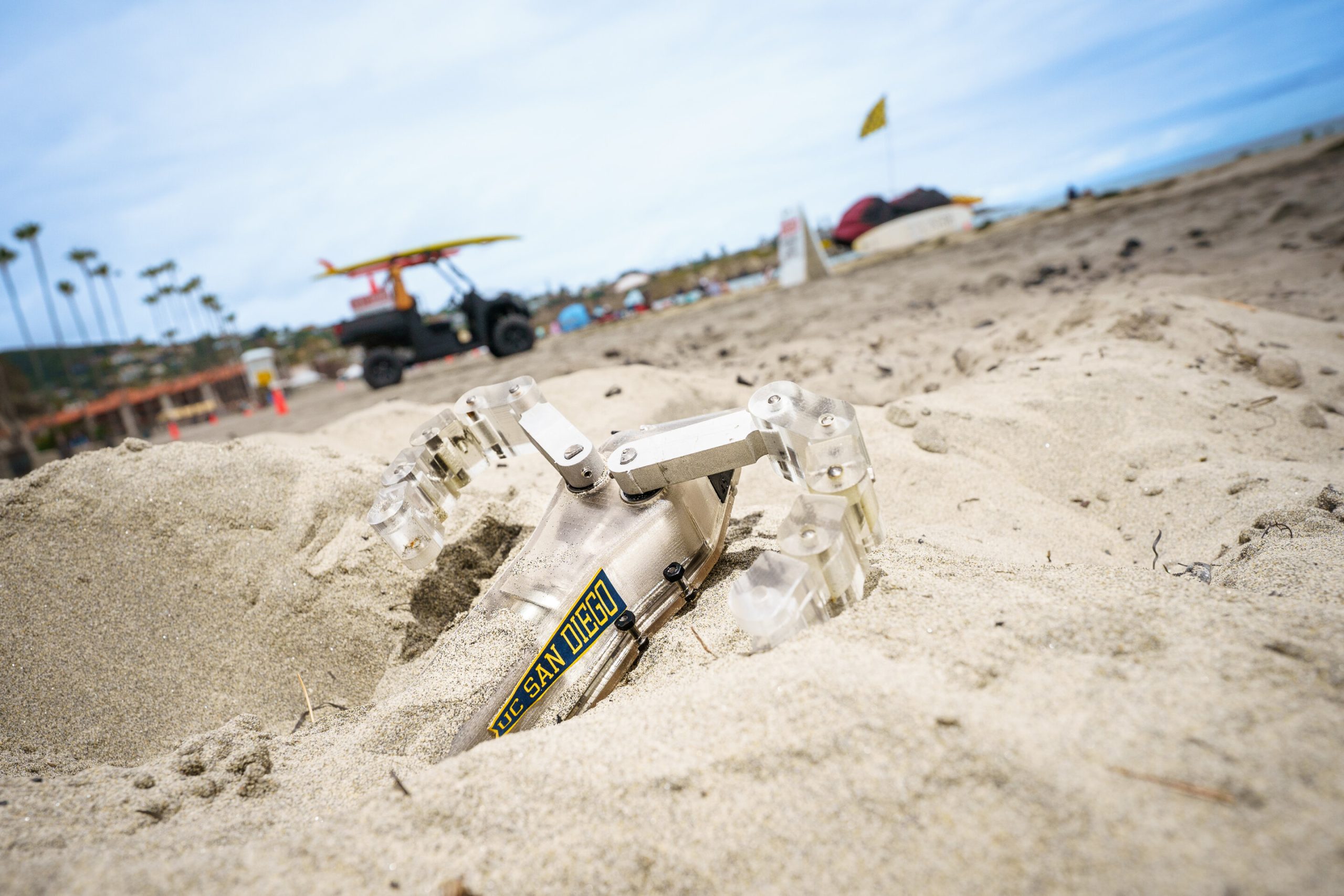 Bot inspired by baby turtles can swim under the sand