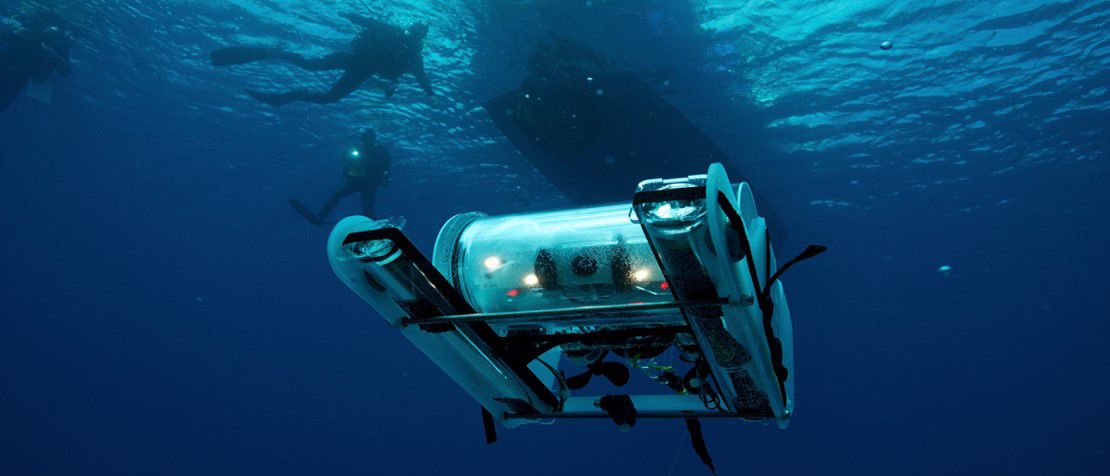 Revolutionizing Underwater Exploration: Brown University’s Pleobot Unlocks Ocean Secrets