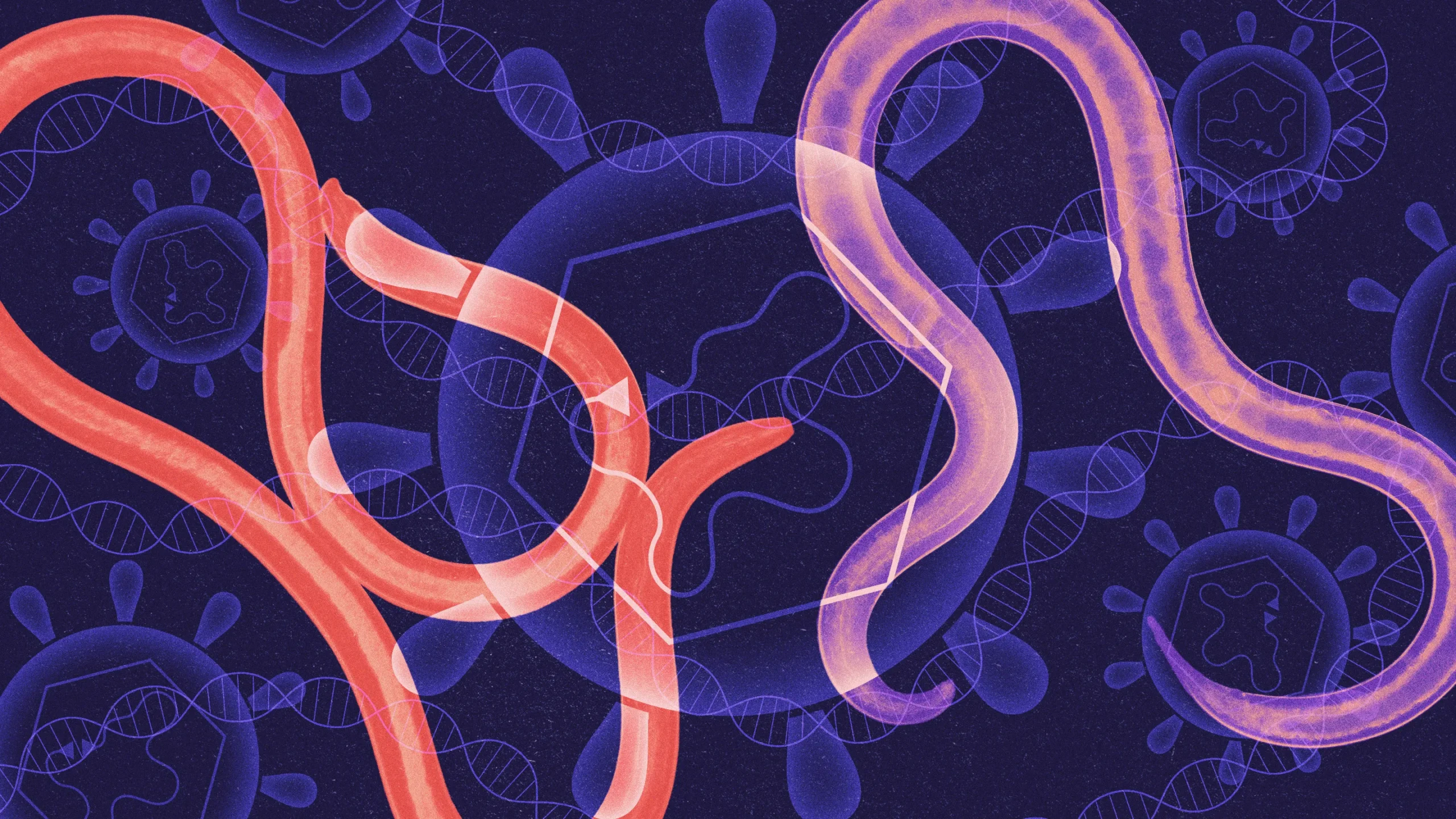 Selfish, Virus-Like DNA Can Carry Genes Between Species